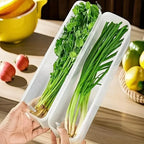 1/4Pcs Transparent Sealed Storage Box Refrigerator fresh-keeping storage box, fresh-keeping Small Food Preservation Boxes