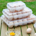 Egg Holder Plastic Egg Storage Box Egg Organizer for Fridge Portable  Tray with Lid for Refrigerator Camping Hiking Outdoor